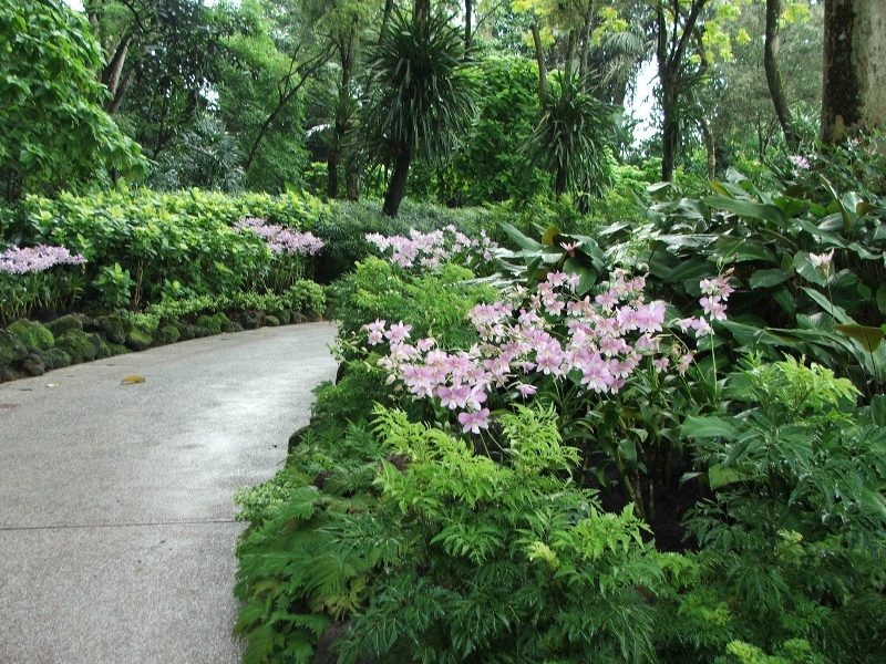 В парке орхидей (Сингапур)